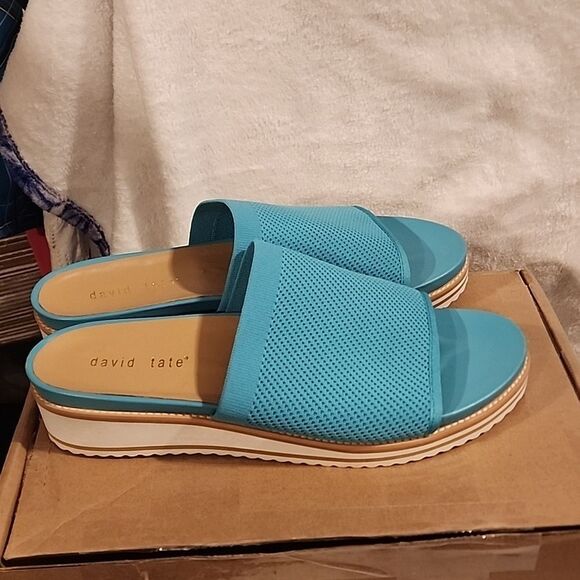 David Tate size 12 sandles NWOT - Picture 1 of 6